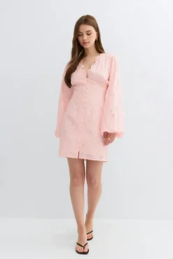 Embroidered mini dress