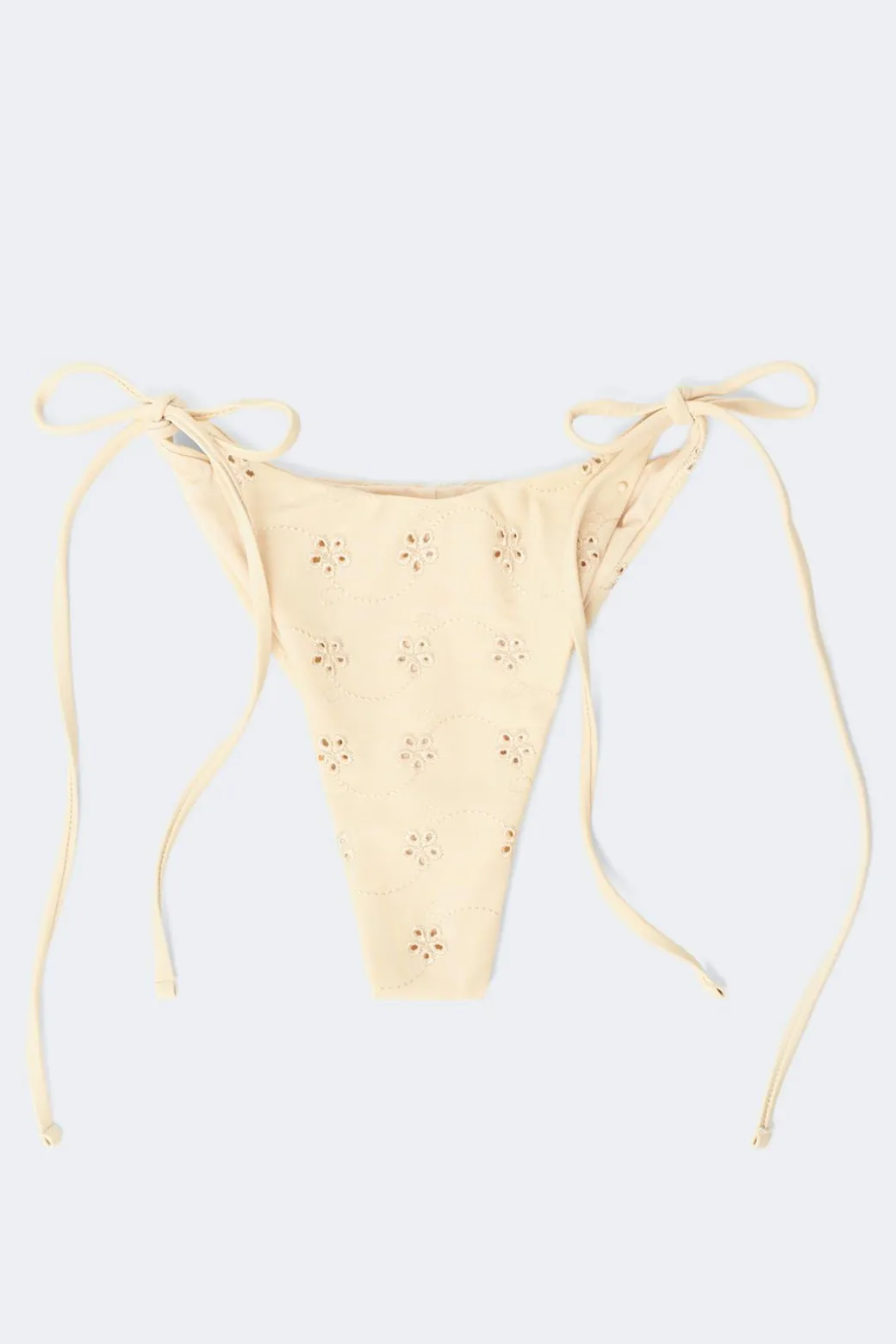 Embroidery bikini brazilian