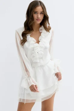 Long sleeve frill mini dress